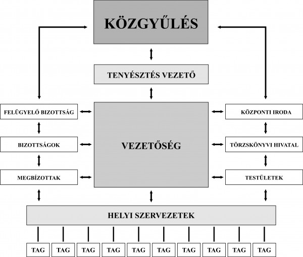 MNJK szervezeti felépítése